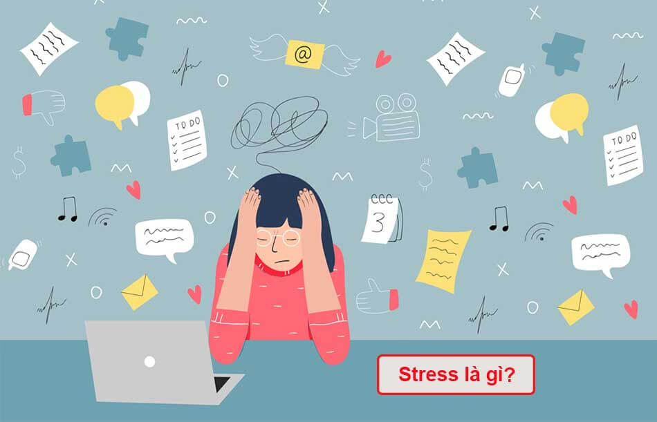 Stress là gì? Nguyên nhân và cách điều trị stress 