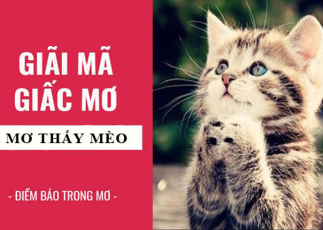 Mơ thấy mèo là điềm lành hay dữ? Đánh số mấy?