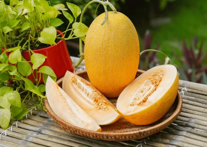 Ăn Dưa Lưới Có Tốt Không? Tác Dụng Sức Khỏe Và Những Lưu Ý Quan Trọng