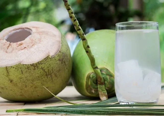 Uống Nước Dừa Nhiều Có Tốt Không? Hướng Dẫn Cách Uống Đúng Khoa Học