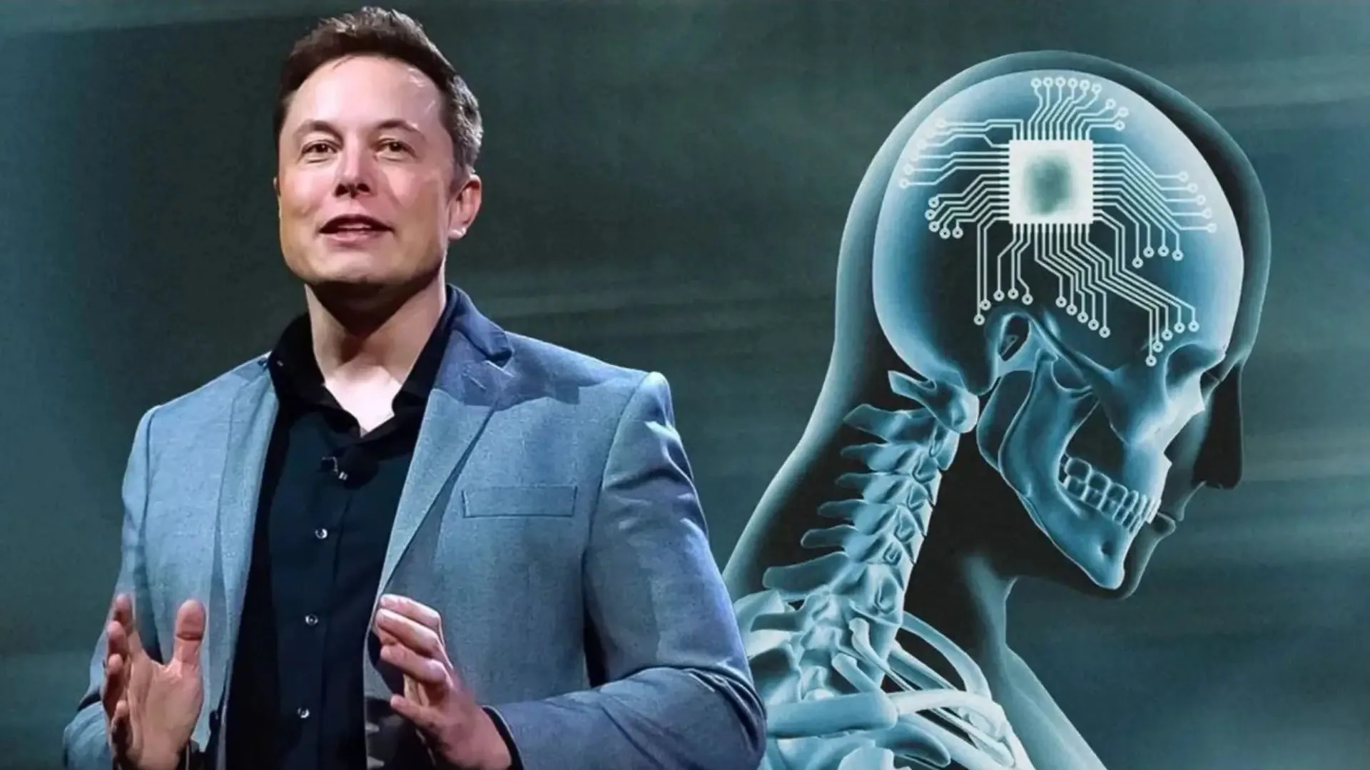 Elon Musk là ai