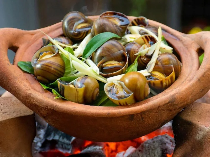Bà bầu ăn ốc được không