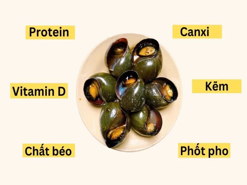 Bà bầu ăn ốc được không