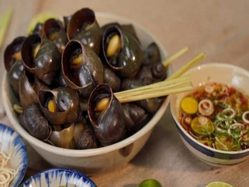 Bà bầu ăn ốc được không